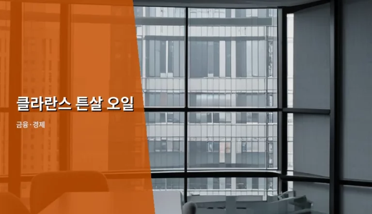 클라란스 튼살 오일 가격 분석과 합리적인 사용법 가이드